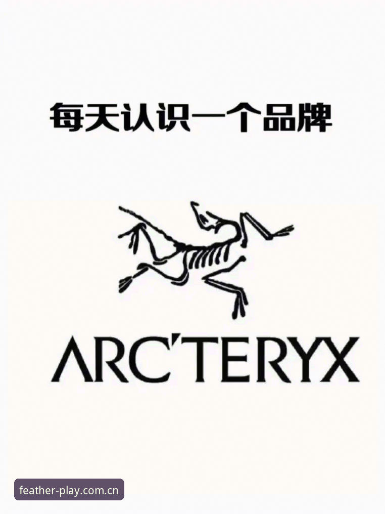 最新小鸟体育体育娱乐 小鸟体育官方入口vs第三方渠道:2026最新对比分析,哪个更稳定可靠?